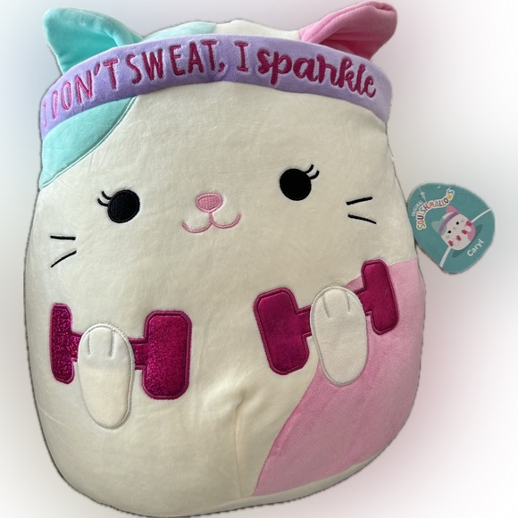 Nwt 14" Caryl Cat 🐱, Calico, Headband Weights, Wellness Squad Squishmallows - Picture 1 of 5
